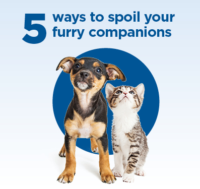Spoil your furry companions