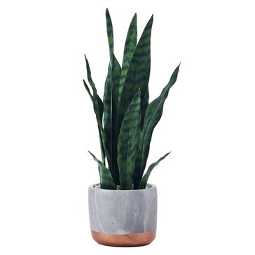 Lifetime Brands Mikasa Home Faux Snake Plant in Marble Pot