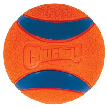 Chuckit! Ultra Ball Large Dog Toy